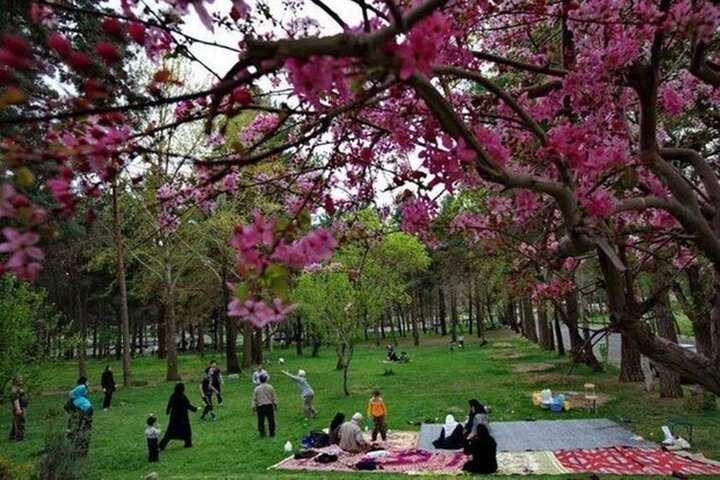 مراقبت از طبیعت در روز «سیزده بدر»/ پسماندها جمع آوری شود