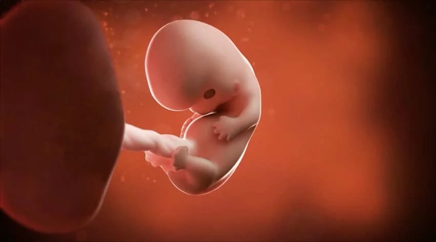 Normal-fetal-bpd-size-in-different-weeks-of-pregnancy-