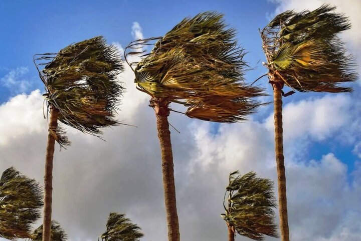 تداوم وزش بادهای شمالی در استان بوشهر/ دریا متلاطم است - خبرگزاری مهر | اخبار ایران و جهان