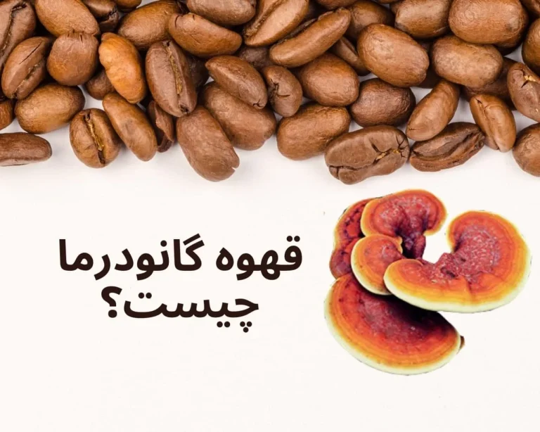 قهوه گانودرما چه خاصیتی دارد ؟