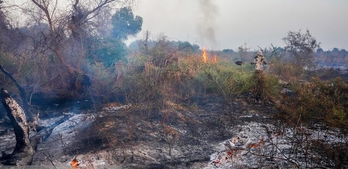 شلعه‌ور شدن مجدد آتش‌سوزی جنگل‌ها و مراتع کهگیلویه