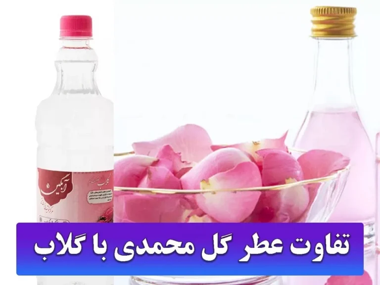 7 تفاوت عطر گل محمدی با گلاب و بهترین عطر و گلاب در کاشان