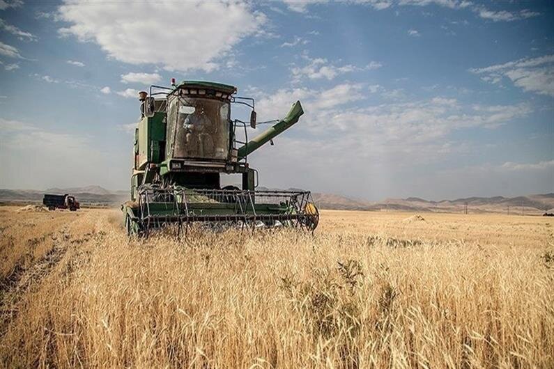 ۸۲ هزار تن گندم از کشاورزان مازندران خریداری شد - خبرگزاری مهر | اخبار ایران و جهان