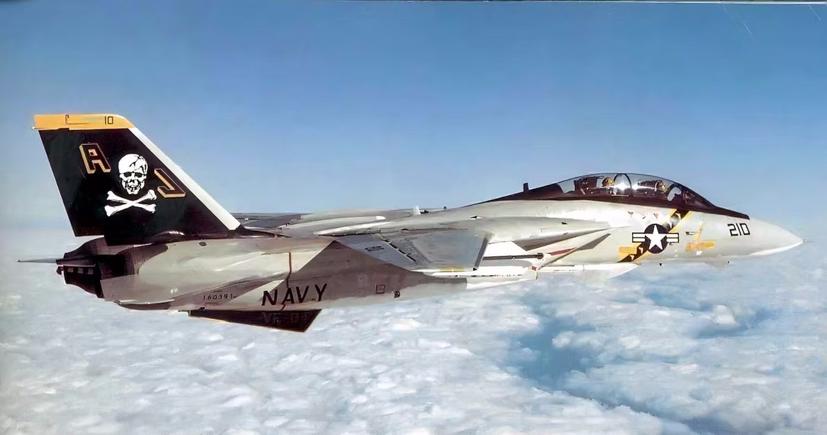 مقابله F-14 Tomcat و Mig-29؛ کدام پیروز نبرد می‌شوند؟